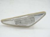 Front fender indicator light