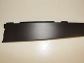 Rear door trim (molding)