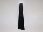 Rear door trim (molding)