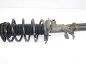 Front shock absorber with coil spring