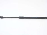Front bonnet/hood damper/strut