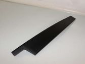 Moulure de porte avant