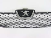 Front bumper lower grill