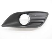 Front fog light trim/grill