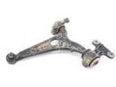 Front lower control arm/wishbone