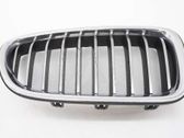 Front bumper lower grill