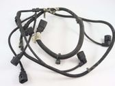 Other wiring loom