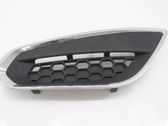 Front fog light trim/grill