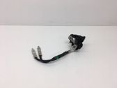 Negative earth cable (battery)