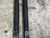 Tailgate/trunk strut/damper