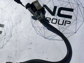 Cable negativo de tierra (batería)