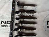 Conjunto de sistema de inyección de combustible
