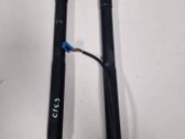 Tailgate/trunk strut/damper