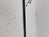 Tailgate/trunk strut/damper