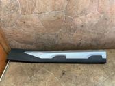 Rear door trim (molding)