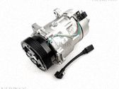 Klimakompressor Pumpe