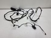 Front door wiring loom