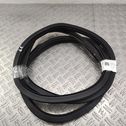 Rear door rubber seal (on body)