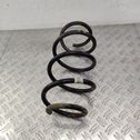 Front coil spring