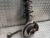 Front wheel hub spindle knuckle