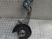 Rear wheel hub
