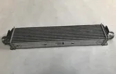 Radiador intercooler