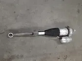 Rear shock absorber/damper