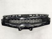 ACC Distronic radar sensor grill/trim