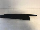 Rear door glass trim molding