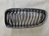 Front bumper upper radiator grill