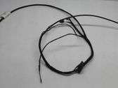 Other wiring loom