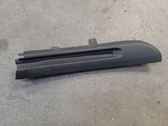 Rear door glass trim molding