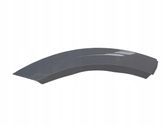 Rear door trim (molding)