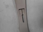 (C) pillar trim
