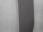 (C) pillar trim
