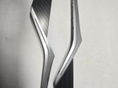 Front door trim (molding)