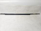 Front door glass trim molding