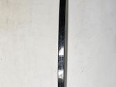 Rear door glass trim molding