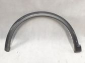 Fender trim (molding)