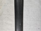 Listón embellecedor de la puerta delantera (moldura)