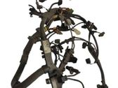 Other wiring loom