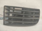 Grille inférieure de pare-chocs avant
