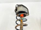 Rear shock absorber with coil spring