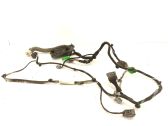 Cableado de puerta delantera