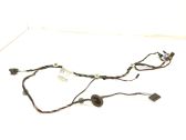 Front door wiring loom
