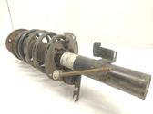 Front shock absorber/damper