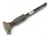 Bremssattel hinten