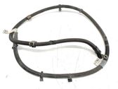 Wires (starter motor)