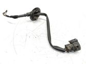 Other wiring loom