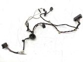 Rear door wiring loom